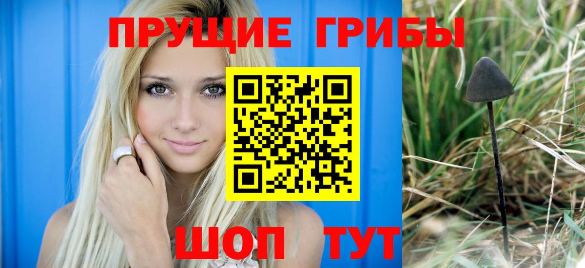 Псилоцибиновые грибы GOLDEN TEACHER  Вход с VPN  Сафоново 