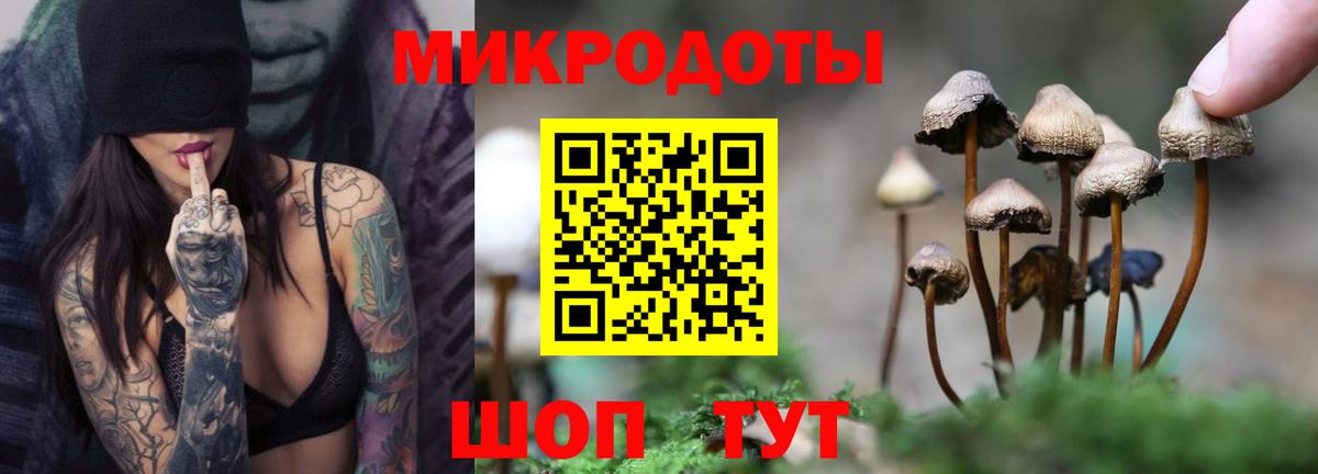 Галлюциногенные грибы мухоморы Сафоново